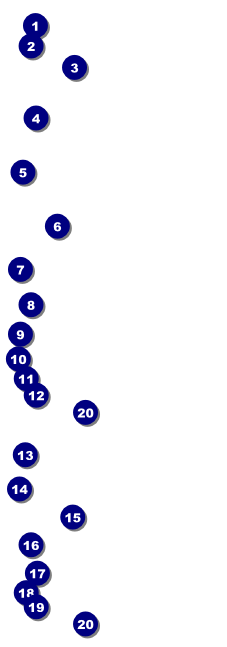 Chinese New Year Snake Event Ticket Front Field Markers