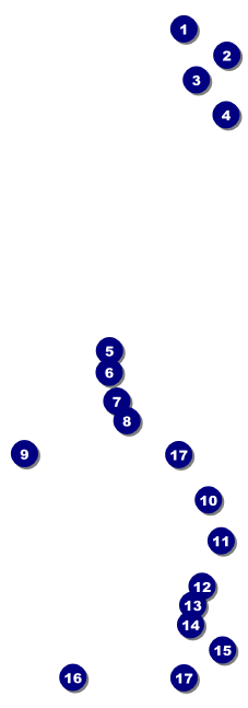 Leeds Event Ticket Front Field Markers