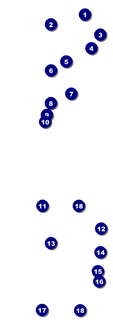 North Lanarkshire Event Ticket Front Field Markers