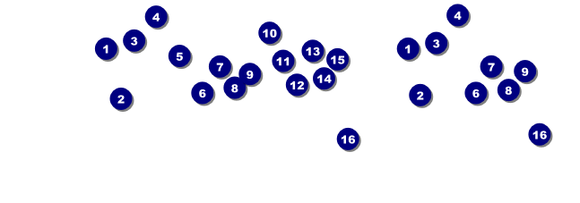 Scottish Flag General Admission Ticket Front Field Markers