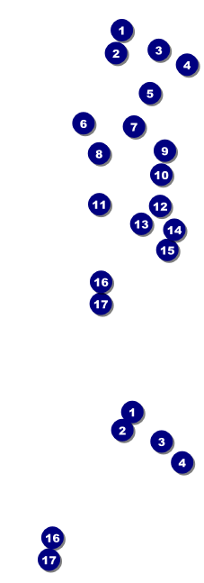 London Event Ticket Front Field Markers