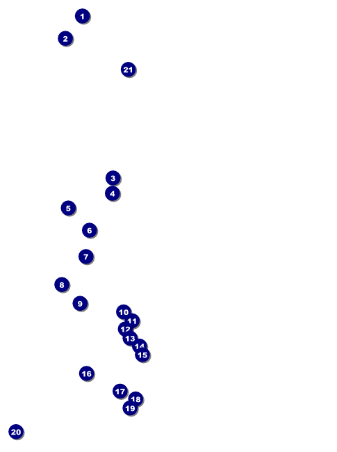 Sports Flyer 001 in Blue and Gold Front Field Markers