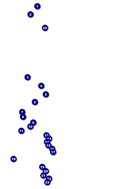 Sports Poster 001 in Green and Black Front Field Markers