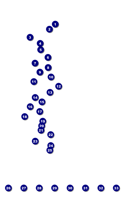 Mixed Martial Arts Red Poster Front Field Markers