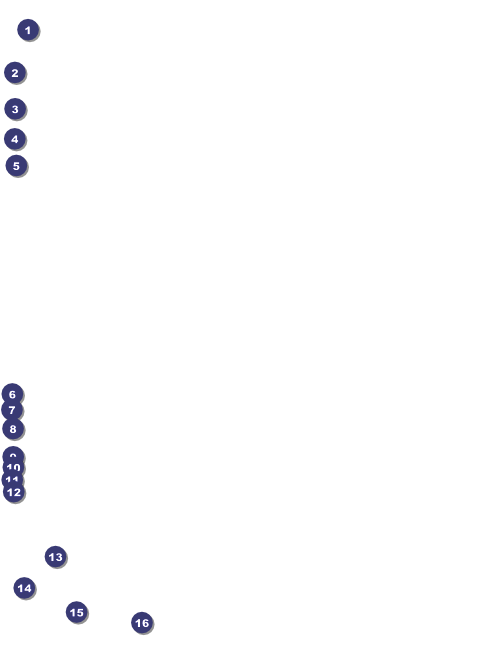Zombie Woman Flyer Front Field Markers