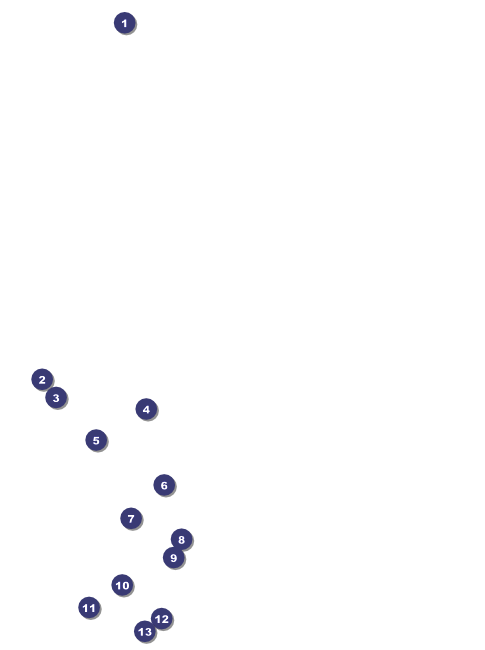 Demon Swirl Flyer Front Field Markers