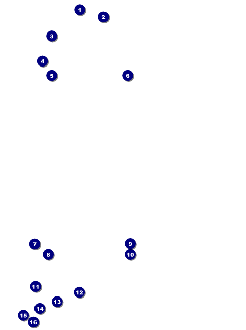 Hanukkah Menorah Flyer Front Field Markers