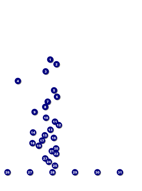 Rugby Flyer Front Field Markers