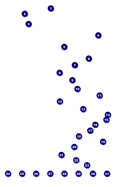 2010 Classic Blue Poster Front Field Markers