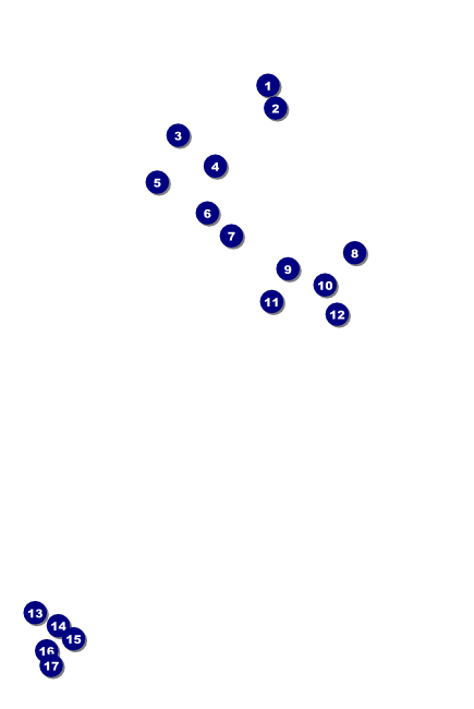 Winter Bird Poster Front Field Markers