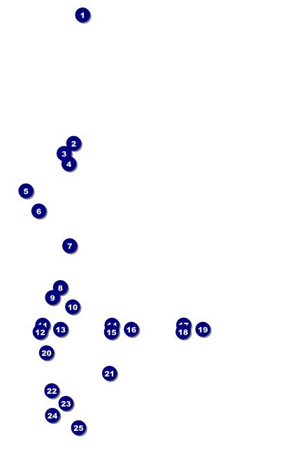 Cash Raffle Green Poster Front Field Markers
