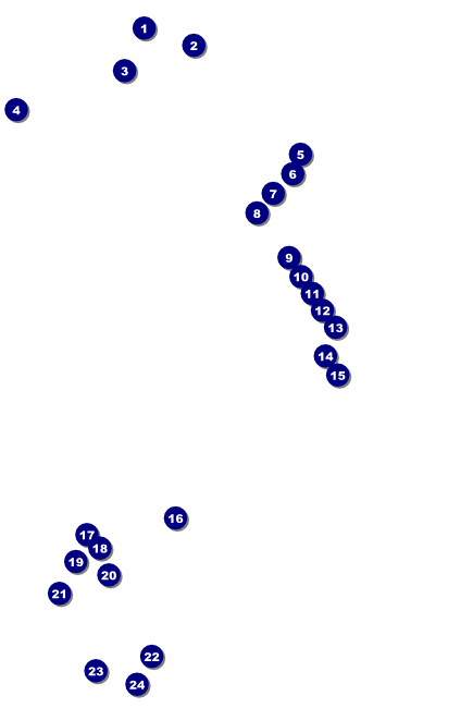 Casino Dealer Poster Front Field Markers