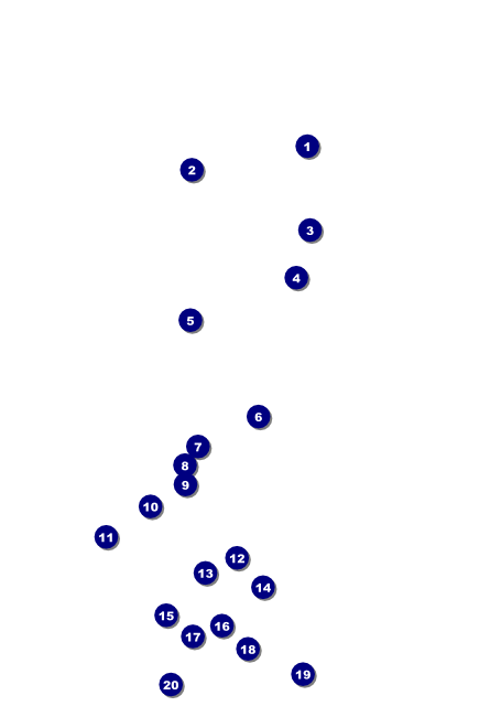 Football Stadium Poster Front Field Markers