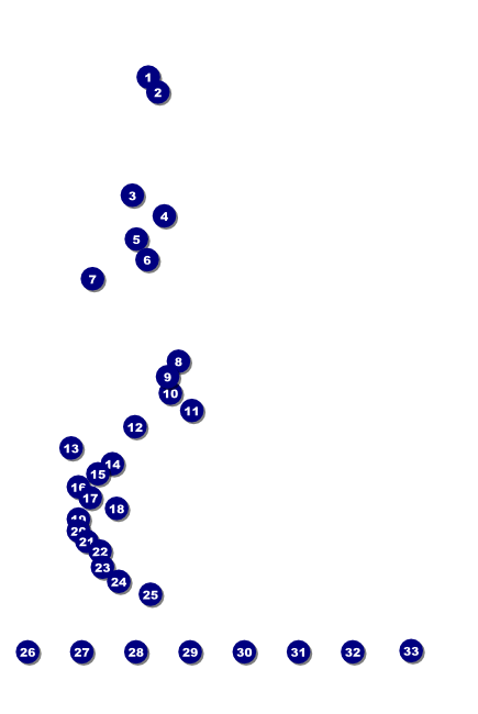 Shamrock Poster Front Field Markers