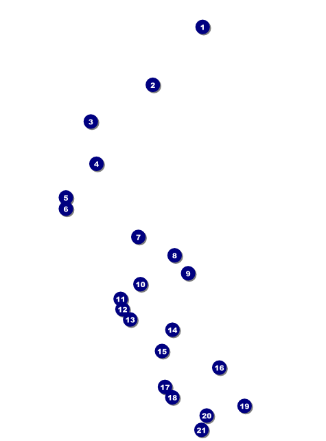 Reunion Flyer Front Field Markers
