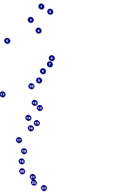 Haunted House Poster Front Field Markers