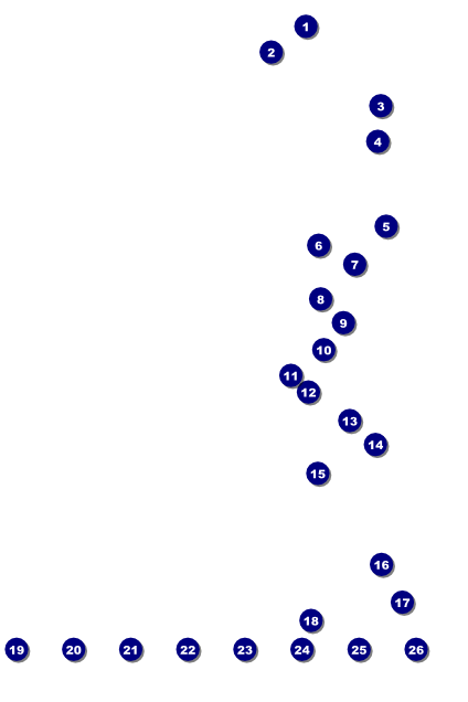 All Purpose Stars Image Poster Front Field Markers