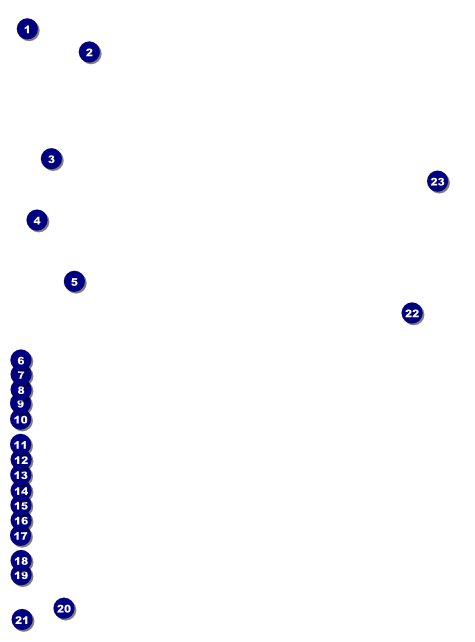 Chinese New Year Snake Flyer Front Field Markers