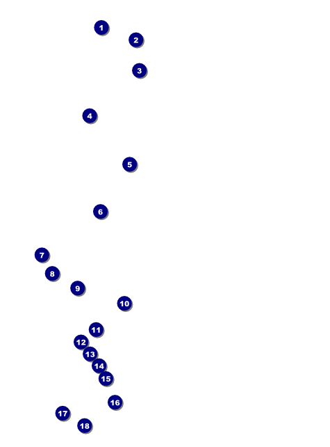 All Purpose Building and Streetlights Black and White  Flyer Front Field Markers