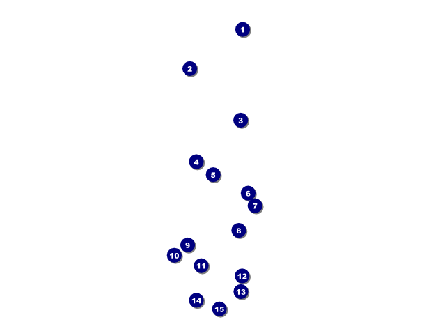 Spring Festival 2 Image Flyer Front Field Markers