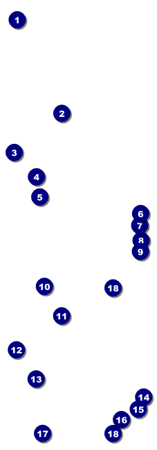 Royal Event Ticket Front Field Markers