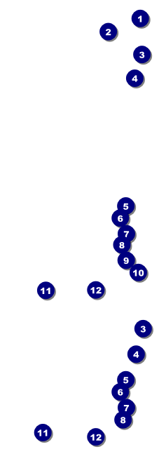 Curling Tournament 2017 Event Ticket Front Field Markers