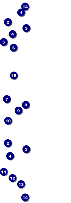 Navy and Gold Event Ticket 0007 Front Field Markers