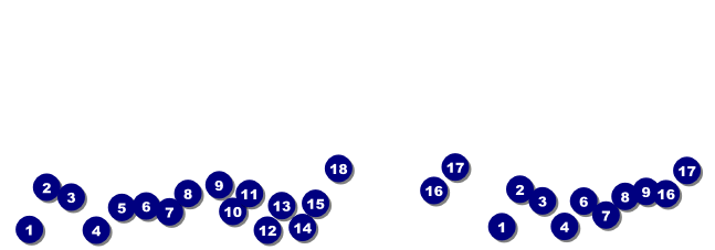 Leaf General Admission Ticket Front Field Markers