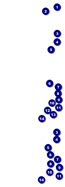 Prism Tree General Admission Ticket Front Field Markers